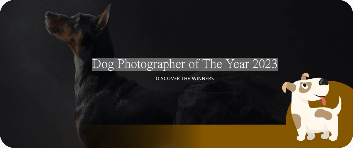 Dog Photography Awards 2023