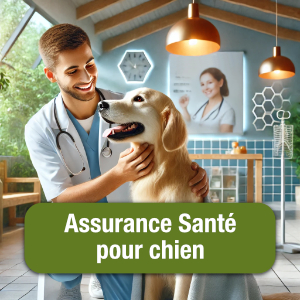 Image générée par l'IA montrant un chien et un vétérinaire dans une salle d'oscultation, avec un bouton vert comportant le libellé 